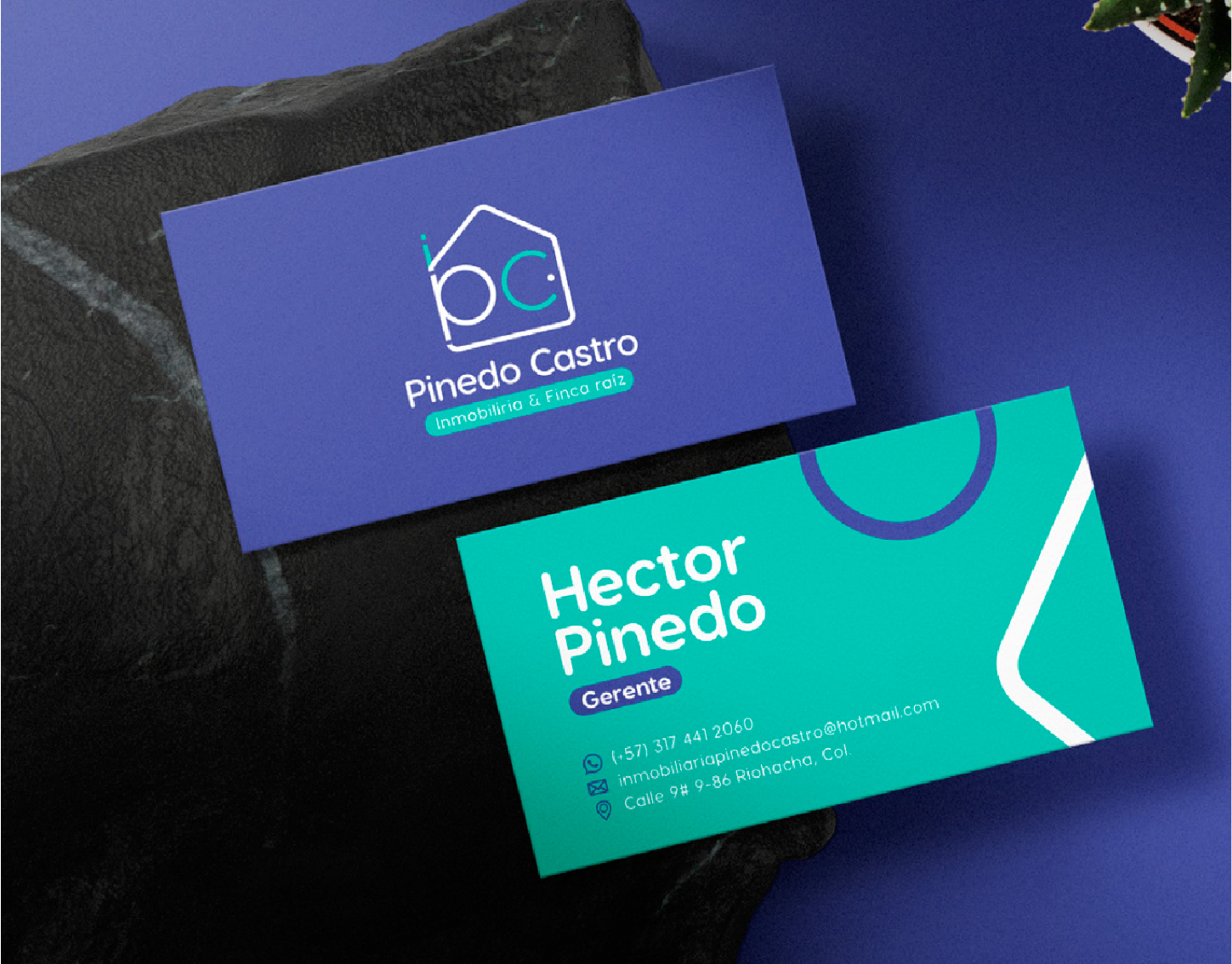 PORTAFOLIO SEVEN LAB AGENCIA-22